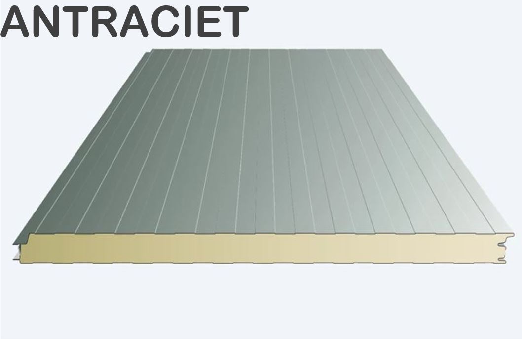 sandwichpanelen wand ANTRACIET 60 mm dik (5 meter)